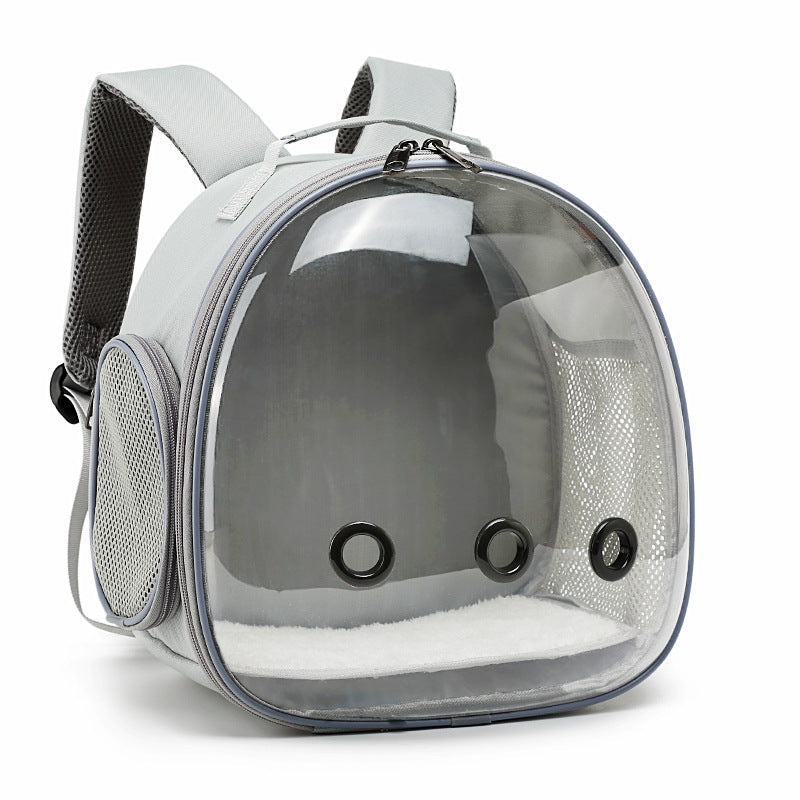 Clear-Bubble Reptile Travel Backpack