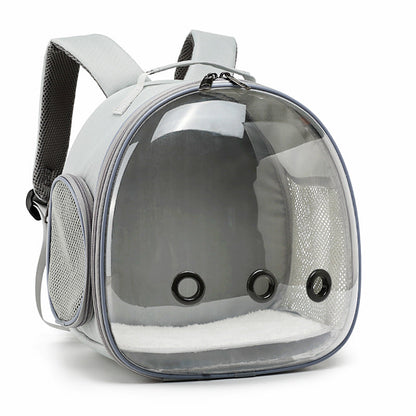 Clear-Bubble Reptile Travel Backpack