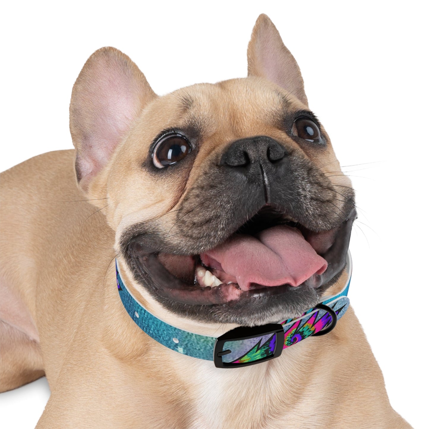 Bolt Dog Collar