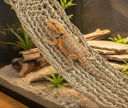 Natural Seagrass Reptile Hammock Loungers