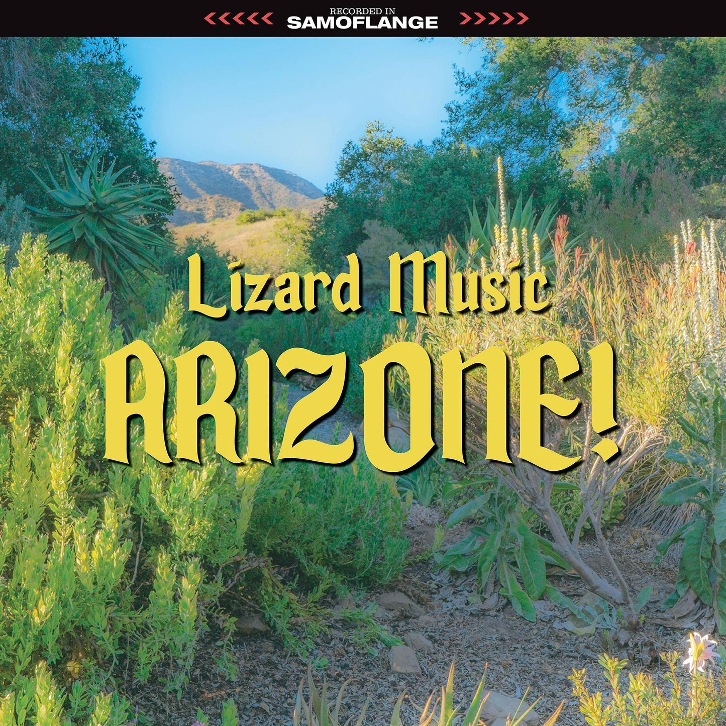 Lizard Music - Arizone [LP] Vinyl Record