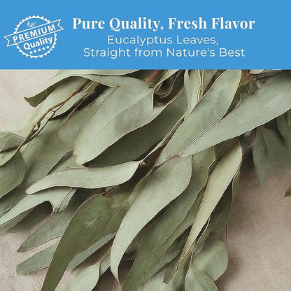 Akshit Eucalyptus Tea Bags - 75 Bags, Pure Eucalyptus Leaves,(te de eucalyptus)  Caffeine-Free Herbal Tea, 5oz, Te De Eucalipto