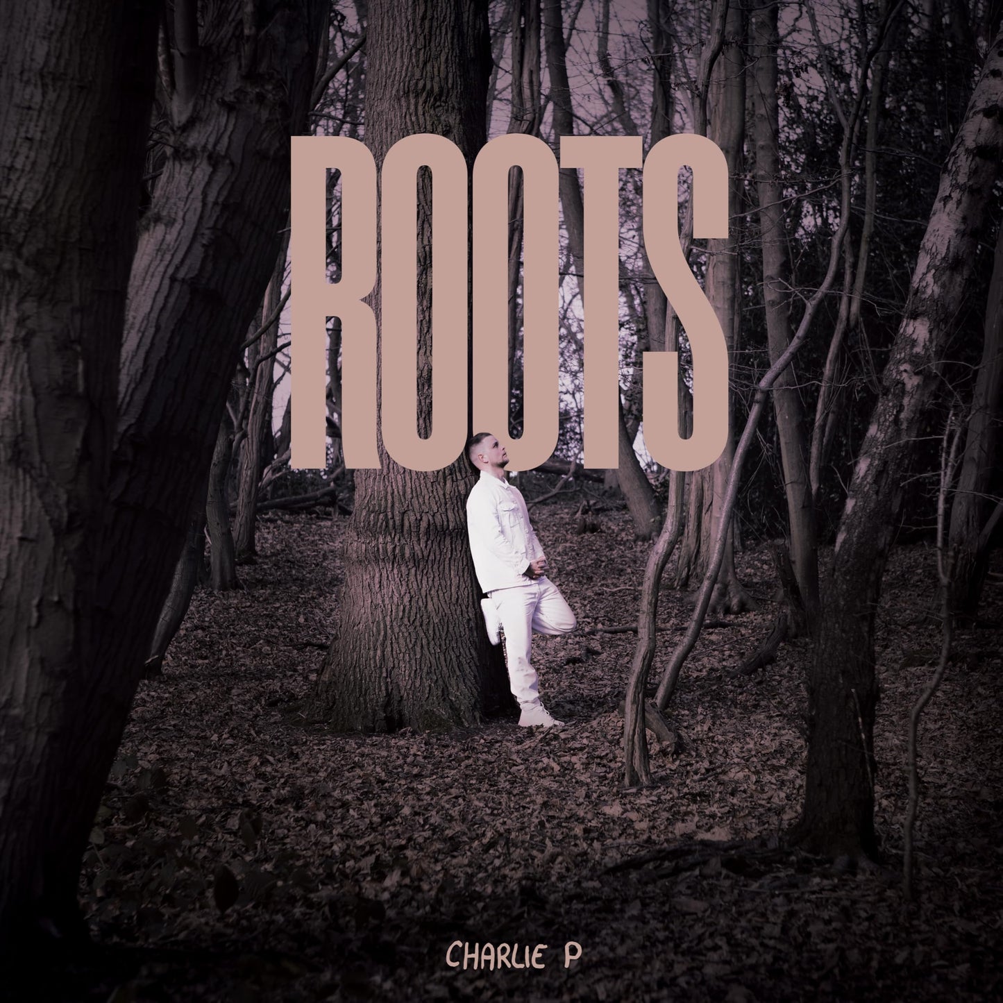 Charlie P - Roots [LP] Vinyl Record