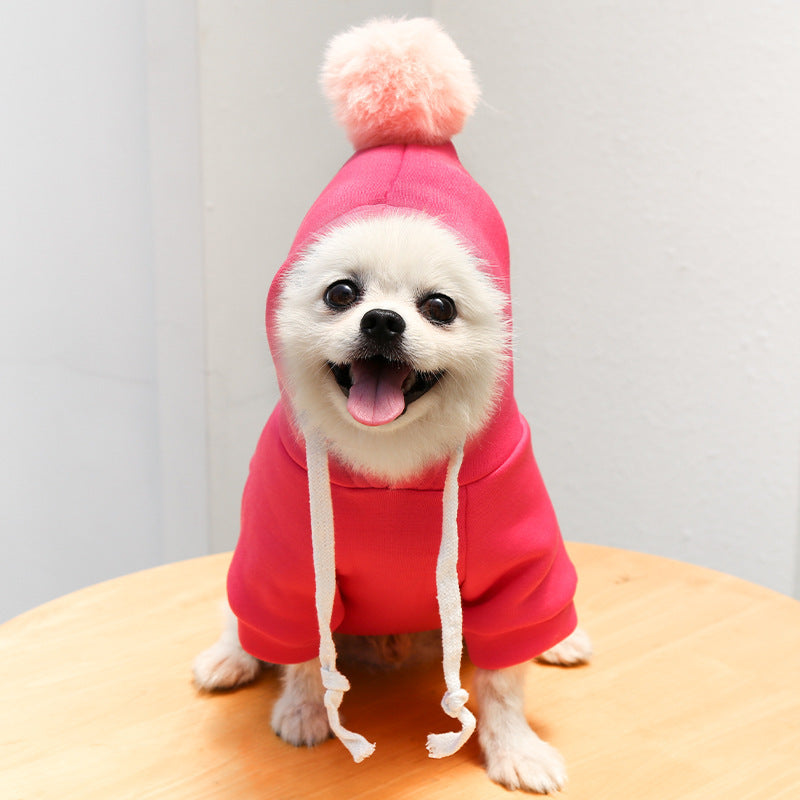 Two-legged Hooded Dog Clothes