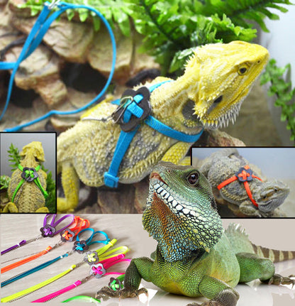 Adjustable Reptile Leash & Harness Kit