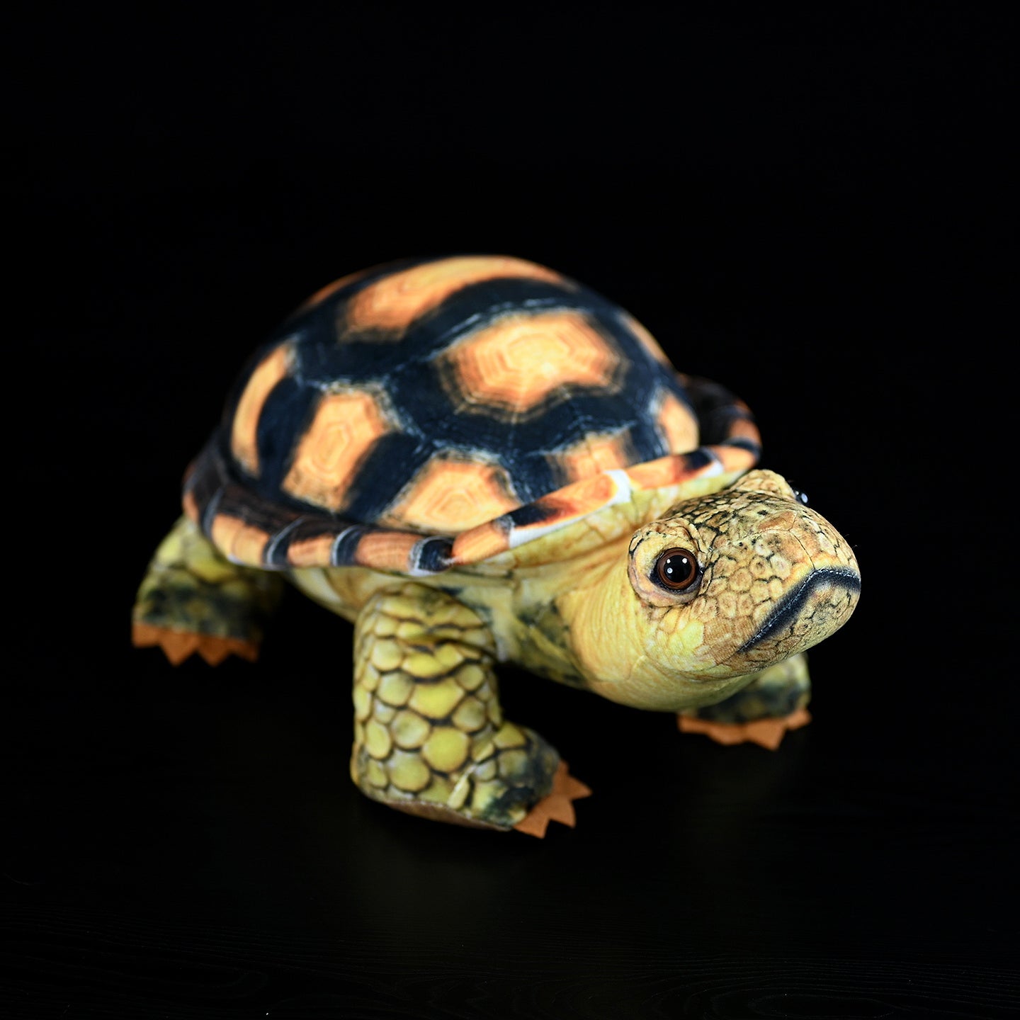 Mediterranean Tortoise Plush