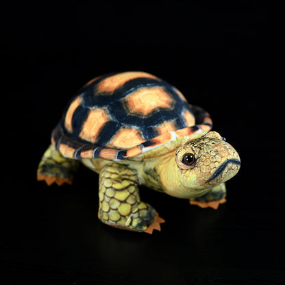 Mediterranean Tortoise Plush