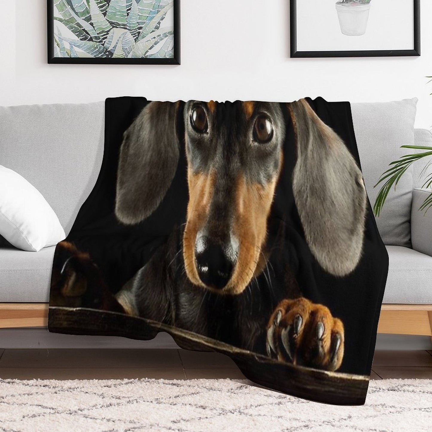 Dachshund Dog Photo Portrait Throw Blanket
