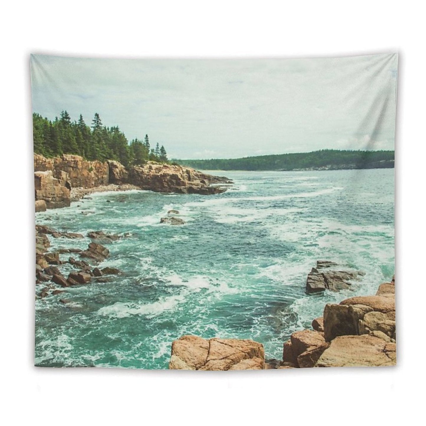 Acadia Coastline - National Park Ocean Tapestry