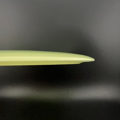 Proto Glow Champion Tern