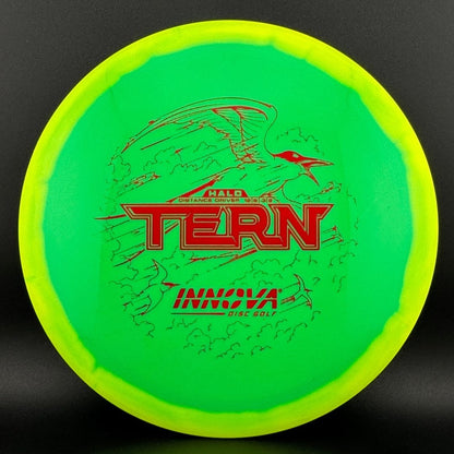 Halo Star Tern