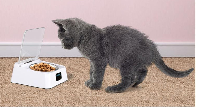 Pet 5G Bowl