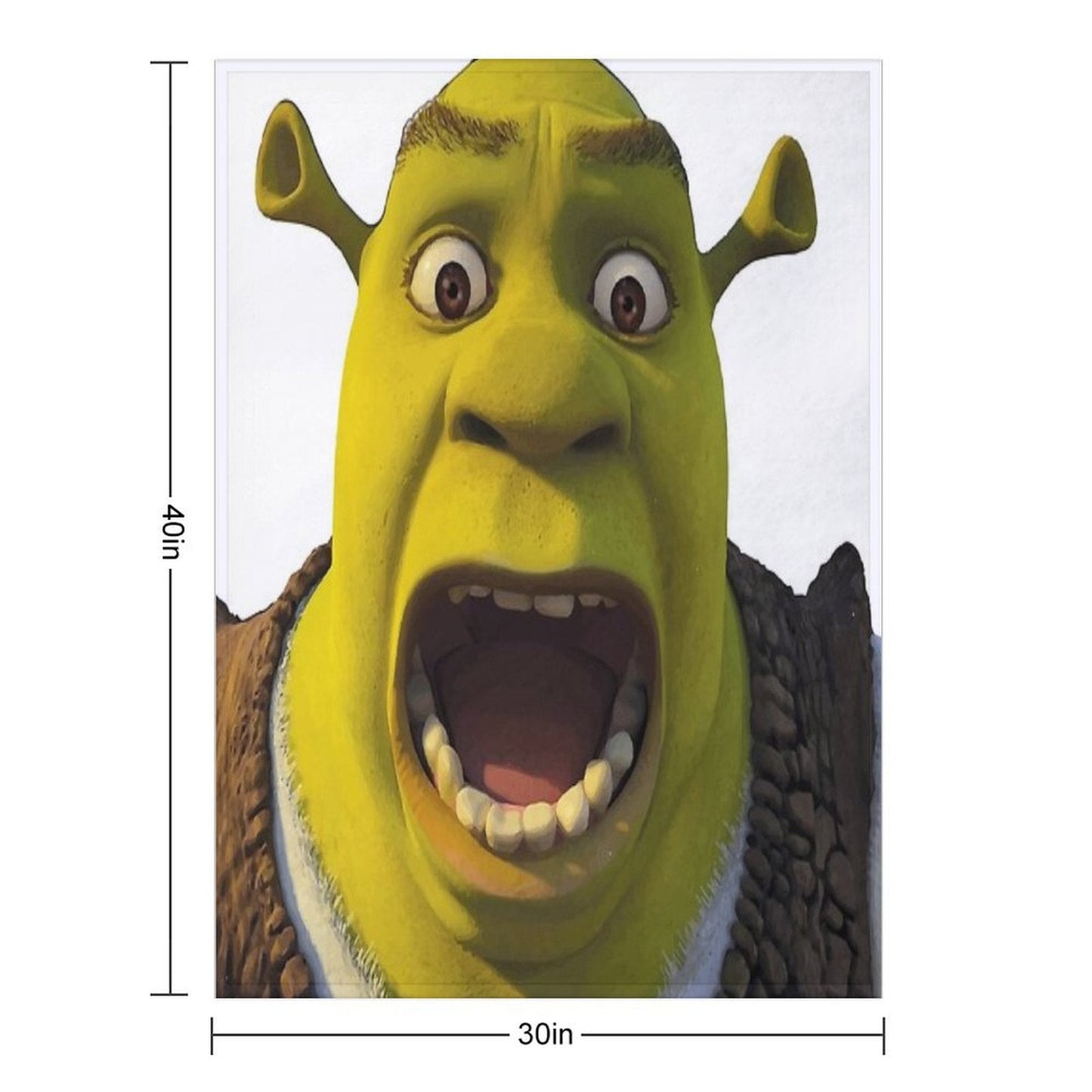 Surprised Shrek Meme Sticker – Funny Ahh! You Just Scared Shrek Decal Throw Blanket