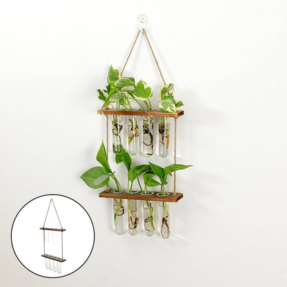 Wall-Hanging Test Tube Plant Propagation Station