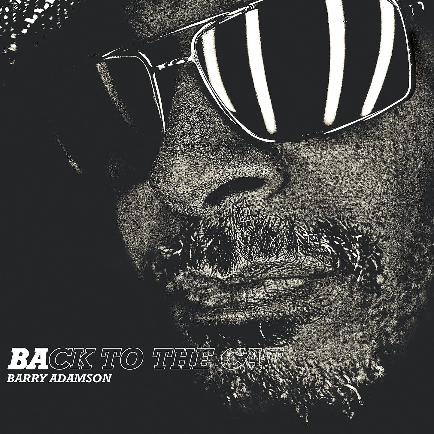 Barry Adamson - Back To The Cat [LP] Vinyl Record