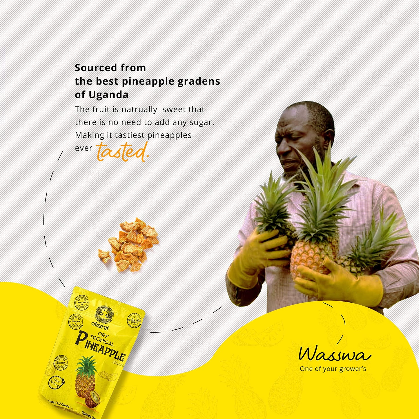Akshit Premium Dried Pineapple Chunks | 100% Natural, No Sugar, Gluten-Free, Non-GMO 1.2 oz (12 count ) I piña bocadillo I Tranches d'ananas secs