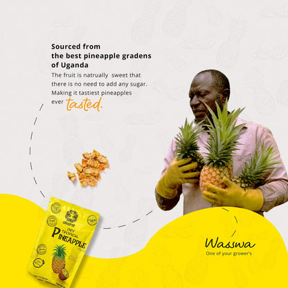 Akshit Premium Dried Pineapple Chunks | 100% Natural, No Sugar, Gluten-Free, Non-GMO 1.2 oz (12 count ) I piña bocadillo I Tranches d'ananas secs