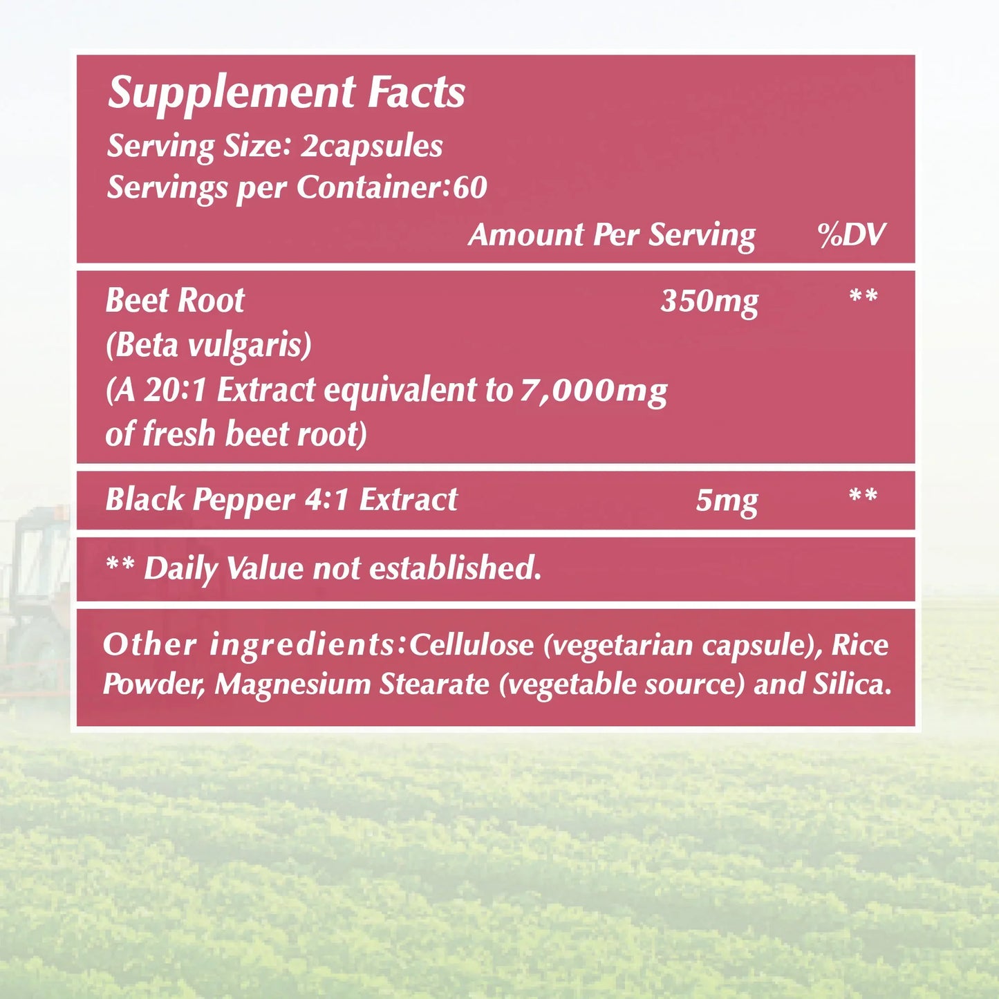 Beet Root Supplement 120 Capsules Supports Blood Pressure Athletic Performance Digestive Health Immune System