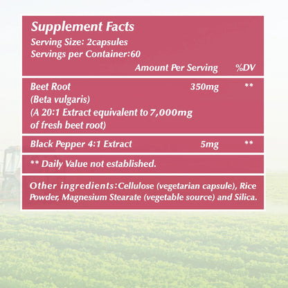 Beet Root Supplement 120 Capsules Supports Blood Pressure Athletic Performance Digestive Health Immune System
