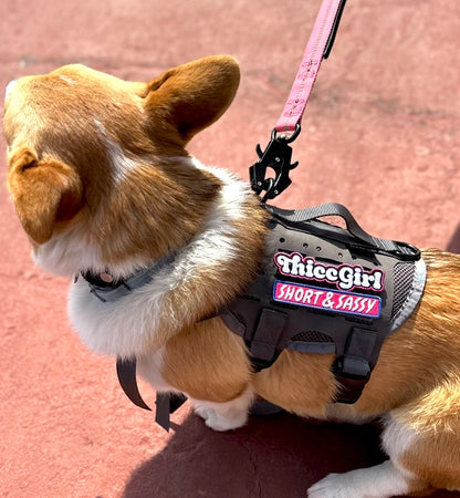 Thicc Girl Morale Patch