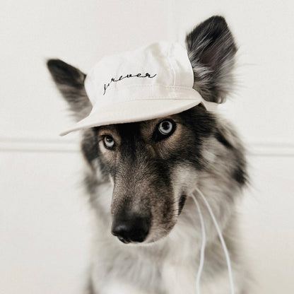 Furever Pet Hat