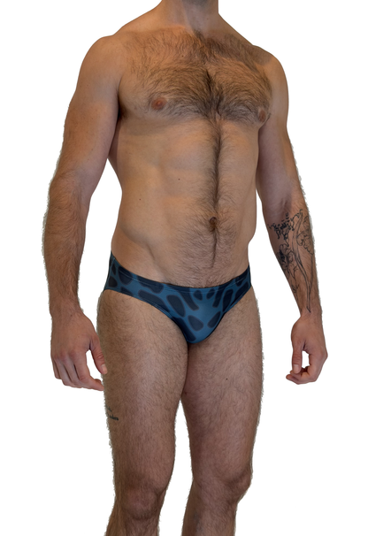 ATLANTIS BRIEF