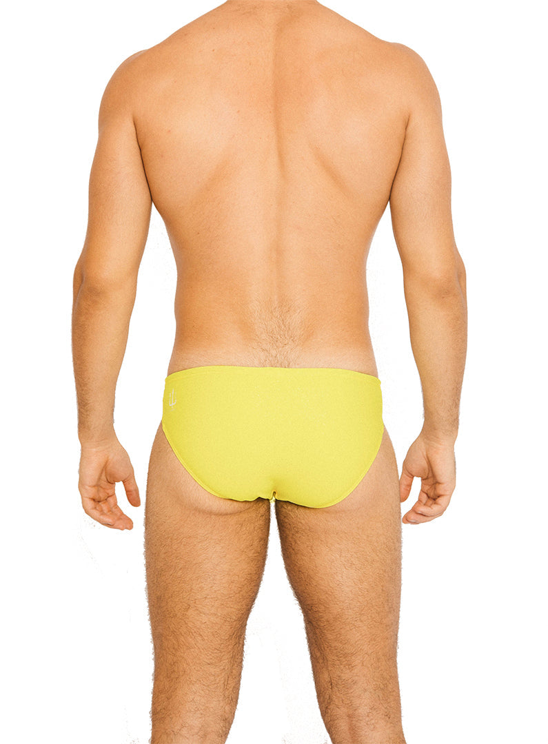 ATLANTIS BRIEF