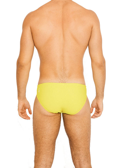 ATLANTIS BRIEF