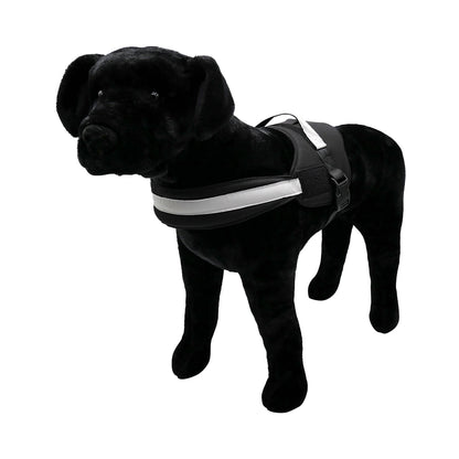 Harness.  Easy Slip On. No Pull