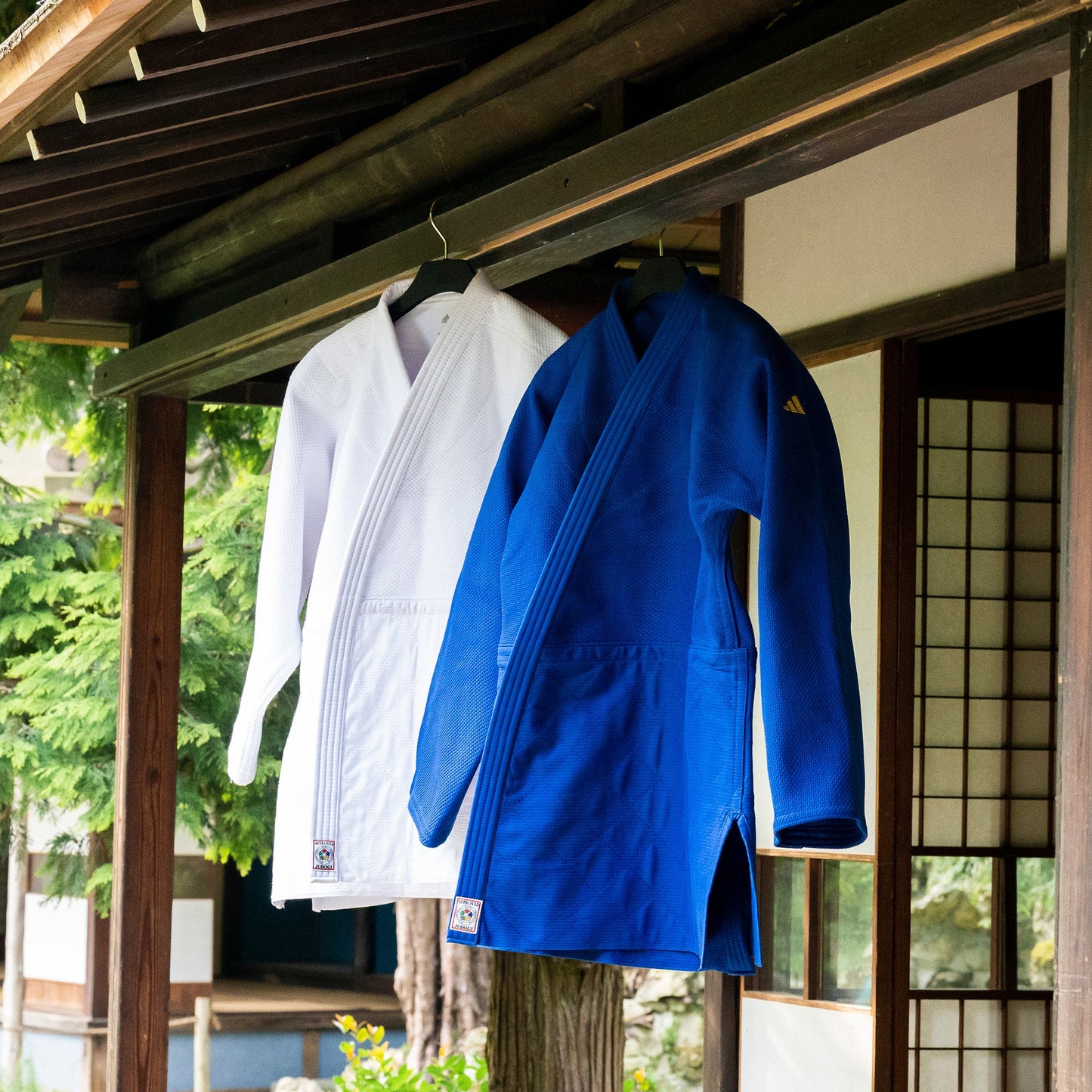 IJF Champion 3 Regular Fit with Gold Logo