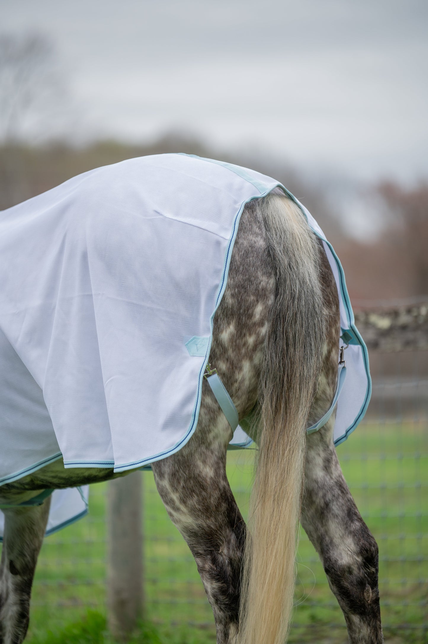 AJ Tack Lightweight Fly Sheet