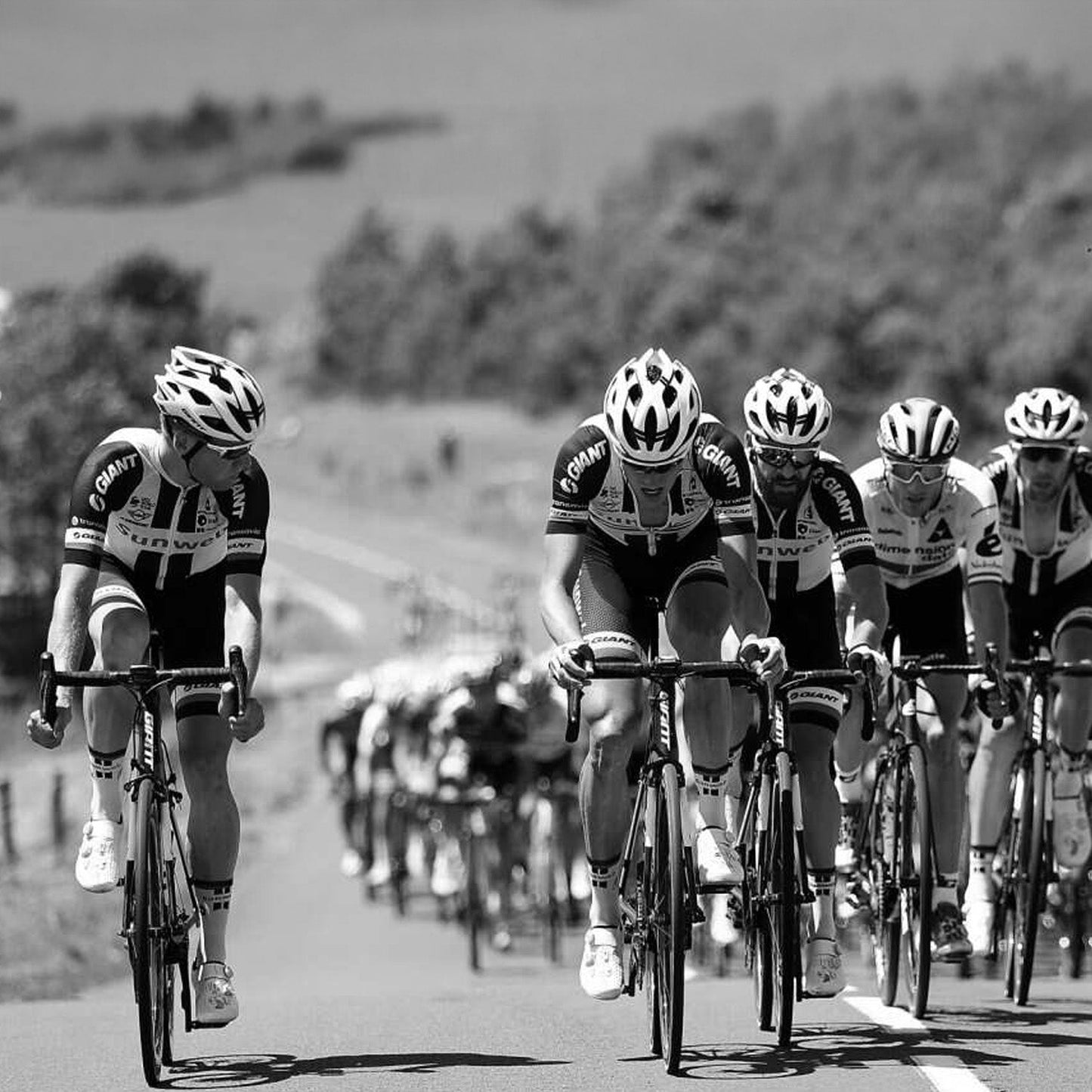 ZEITBIKE - Pro Team Cycling Cap - Liv -Sunweb 2018