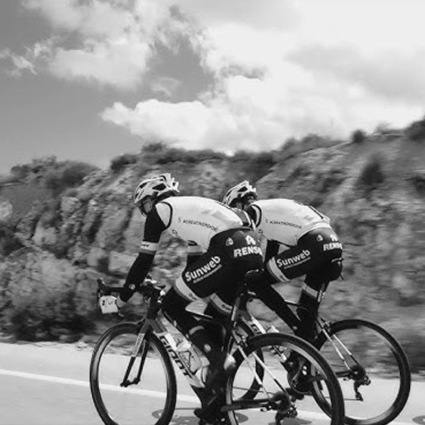 ZEITBIKE - Pro Team Cycling Cap - Liv -Sunweb 2018