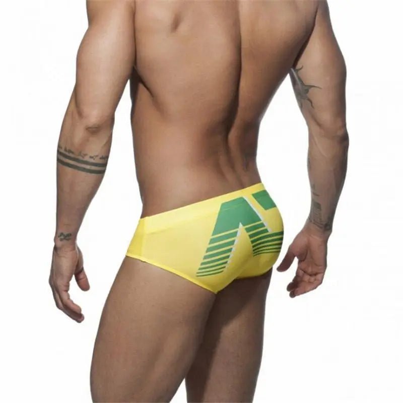 Addicted Gradient Swim Brief