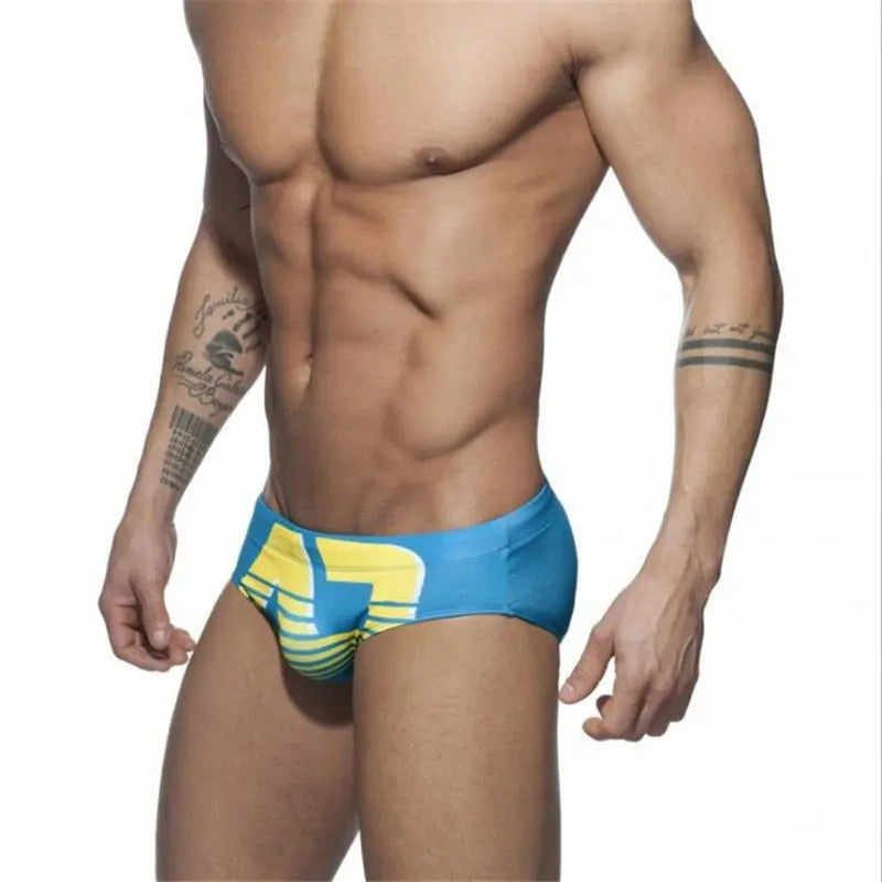 Addicted Gradient Swim Brief