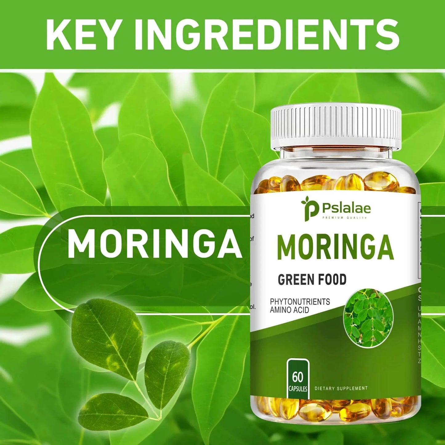 Moringa Supplement - Promote Bone, Joint, Immune Health | Enhance Energy, Endurance, Concentration - 60 Capsules