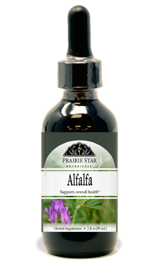 Alfalfa