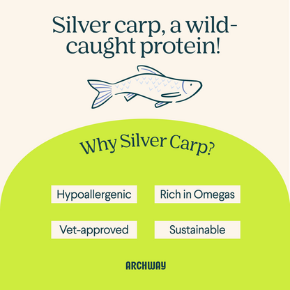 Silver Carp Dog Food