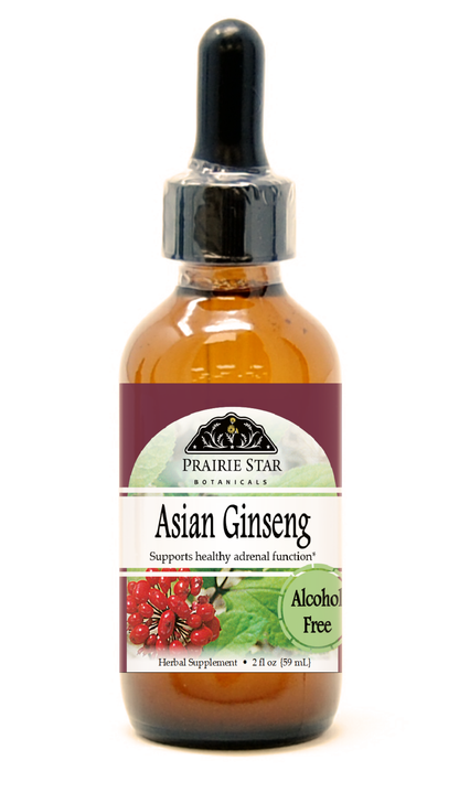 Asian Ginseng