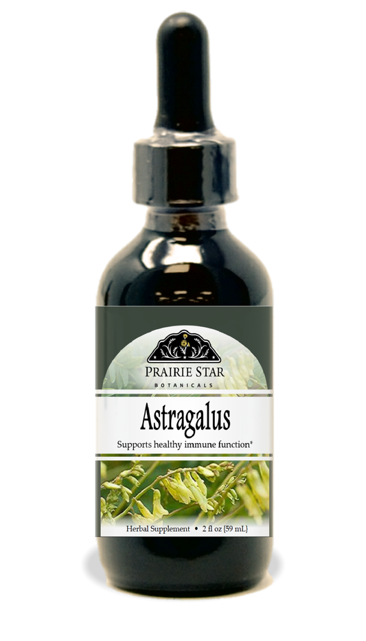 Astragalus