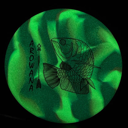 glO-G Arowana