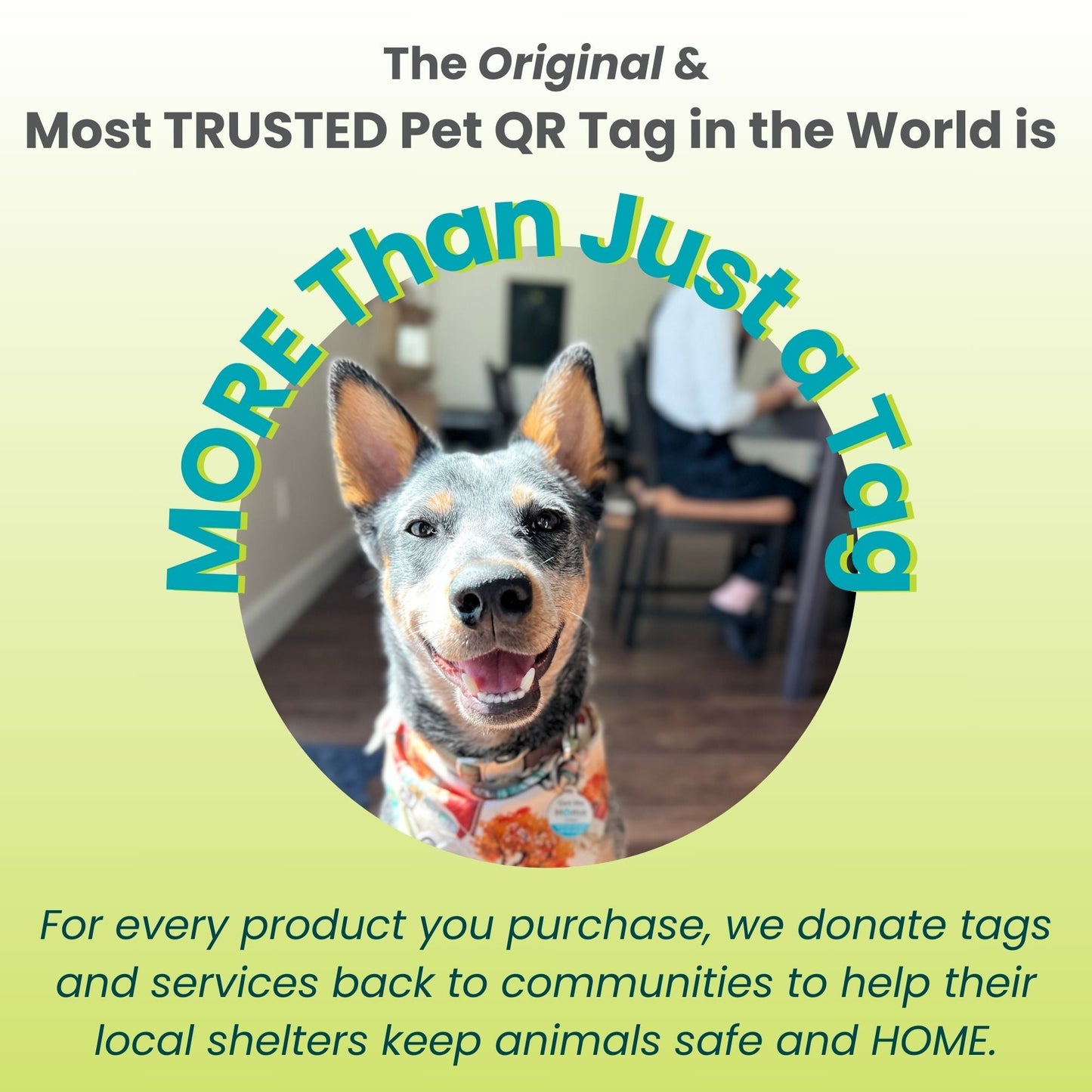 PetHub Pet Safety Home Decal – Emergency Pets Inside Alert