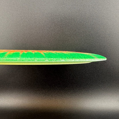 I-Dye Champion Tern