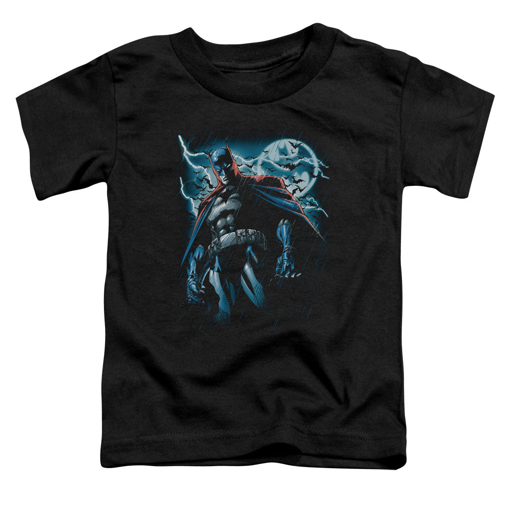 Batman Stormy Knight Toddler Kids Youth T Shirt Black Officially Licensed