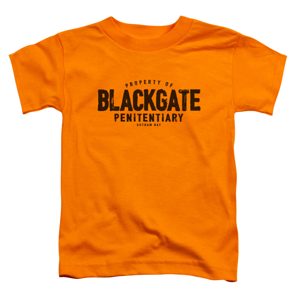 Batman Blackgate Toddler Kids Youth T Shirt Orange Officially Licensed
