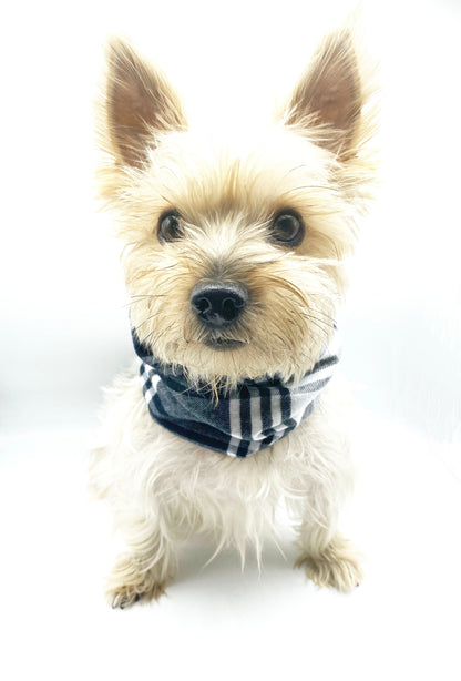 'Bobby' Reversible Pet Snood