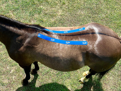 Equi-Tape® Advanced Education Package