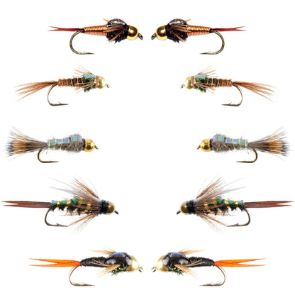 Basics Collection - Flash Back Tungsten Bead Head Nymph Assortment - 10 Wet Flies - 5 Patterns - Hook Sizes 10, 12, 14, 16