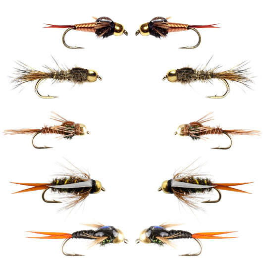 Basics Collection - Tungsten Bead Head Nymph Assortment - 10 Wet Flies - 5 Patterns - Hook Sizes 10, 12, 14, 16