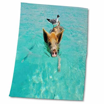 3dRose Print of Swimming Pig in Staniel Cay Bahamas